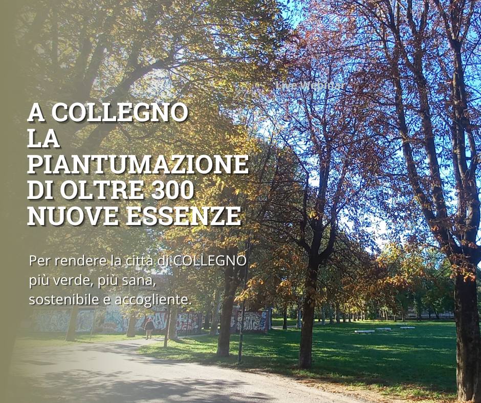 COLLEGNO PIÙ VERDE
